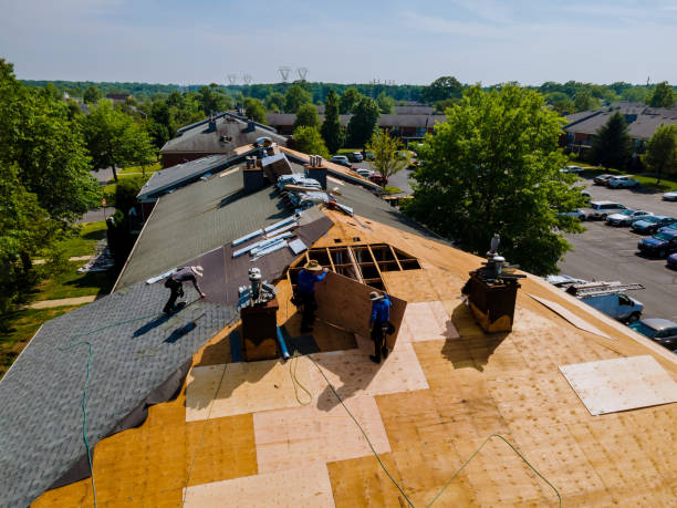Best Roof Repair Services  in Woodbine, GA