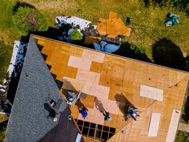 Best Roof Gutter Cleaning  in Woodbine, GA