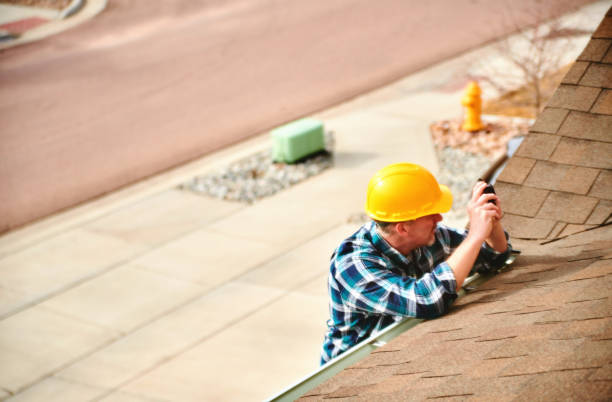 Best Gutter Installation and Roofing  in Woodbine, GA
