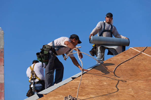 Best Storm Damage Roof Repair  in Woodbine, GA
