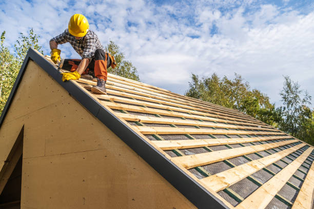 Best Sealant for Roof  in Woodbine, GA