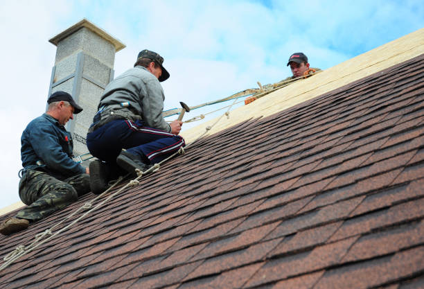 Best Roof Installation Near Me  in Woodbine, GA